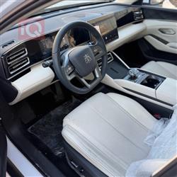 بي واي دي كوين L DM-i